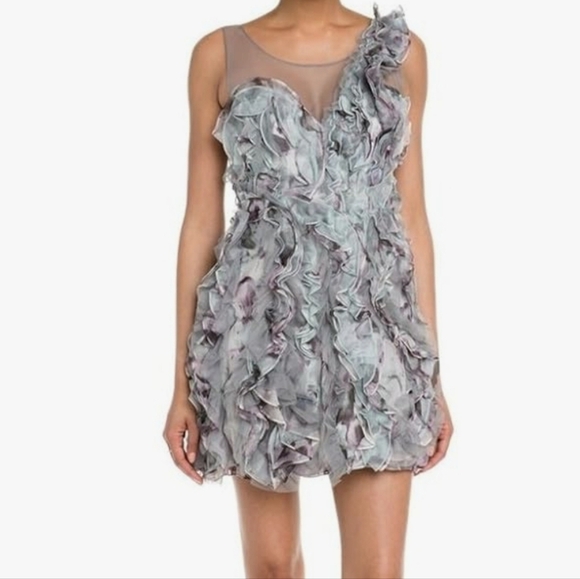 BCBGMAXAZRIA Eva Silk Tulle Organza Agate Combo Ruffle Illusion Mini Dress Sz 12 - Picture 1 of 16